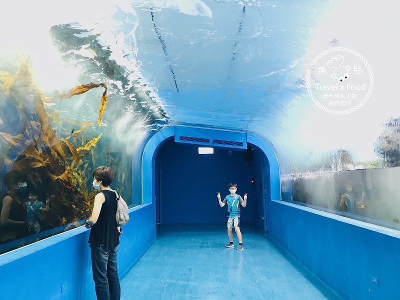 模擬環境溫濕度、氣味與聲音，日本八景島團隊跨海打造，全台首座日系都會型水族館：X PARK 都會型水生公園 @魚兒 x 牽手明太子的「視」界旅行