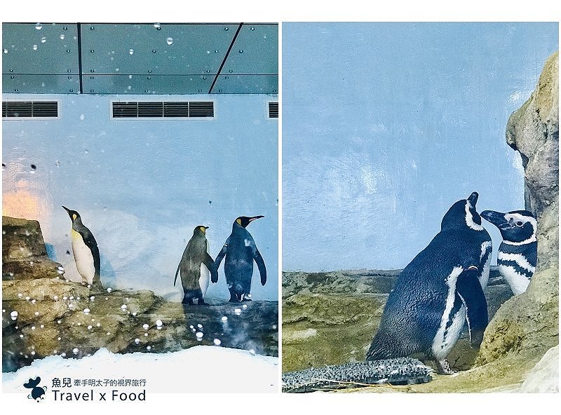 模擬環境溫濕度、氣味與聲音，日本八景島團隊跨海打造，全台首座日系都會型水族館：X PARK 都會型水生公園 @魚兒 x 牽手明太子的「視」界旅行