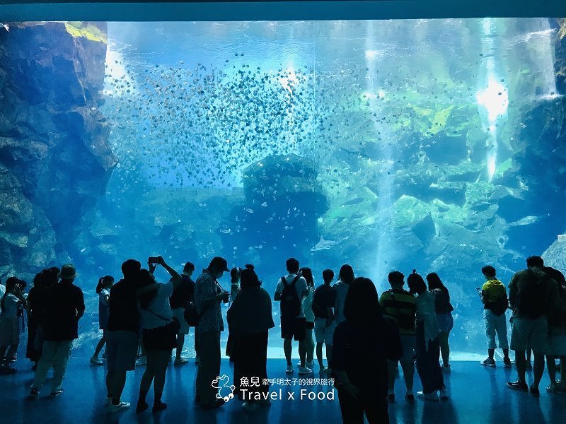 模擬環境溫濕度、氣味與聲音，日本八景島團隊跨海打造，全台首座日系都會型水族館：X PARK 都會型水生公園 @魚兒 x 牽手明太子的「視」界旅行