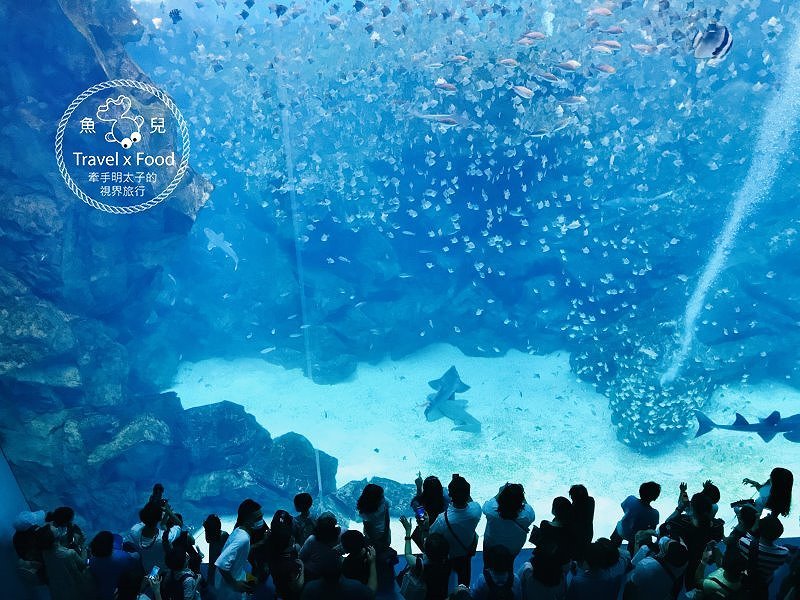 模擬環境溫濕度、氣味與聲音，日本八景島團隊跨海打造，全台首座日系都會型水族館：X PARK 都會型水生公園 @魚兒 x 牽手明太子的「視」界旅行