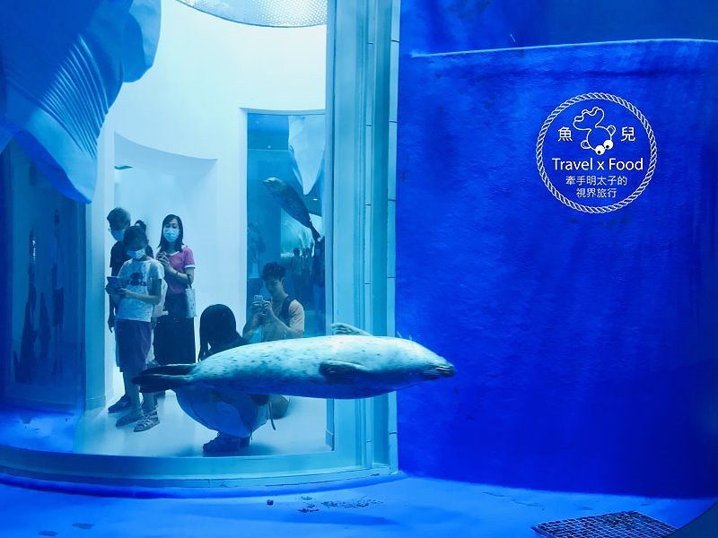 模擬環境溫濕度、氣味與聲音，日本八景島團隊跨海打造，全台首座日系都會型水族館：X PARK 都會型水生公園 @魚兒 x 牽手明太子的「視」界旅行
