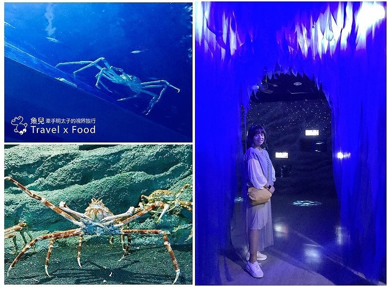 模擬環境溫濕度、氣味與聲音，日本八景島團隊跨海打造，全台首座日系都會型水族館：X PARK 都會型水生公園 @魚兒 x 牽手明太子的「視」界旅行