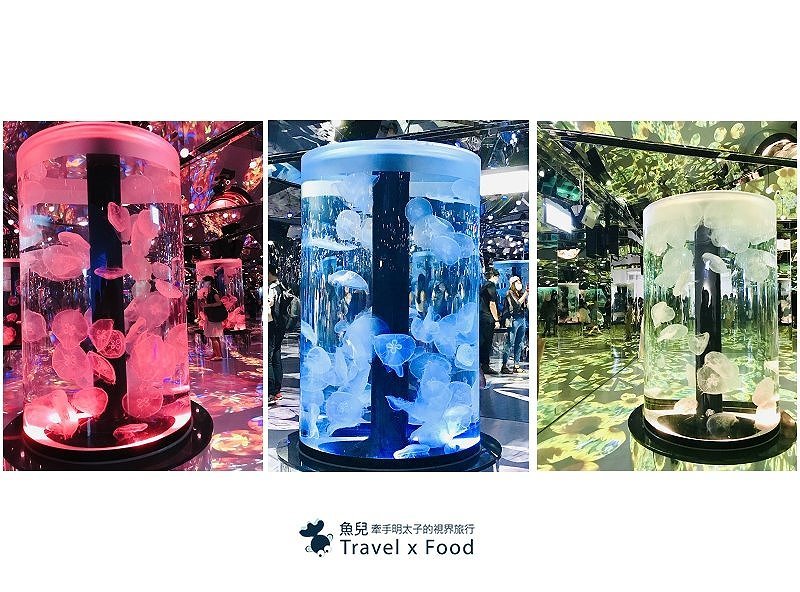 模擬環境溫濕度、氣味與聲音，日本八景島團隊跨海打造，全台首座日系都會型水族館：X PARK 都會型水生公園 @魚兒 x 牽手明太子的「視」界旅行