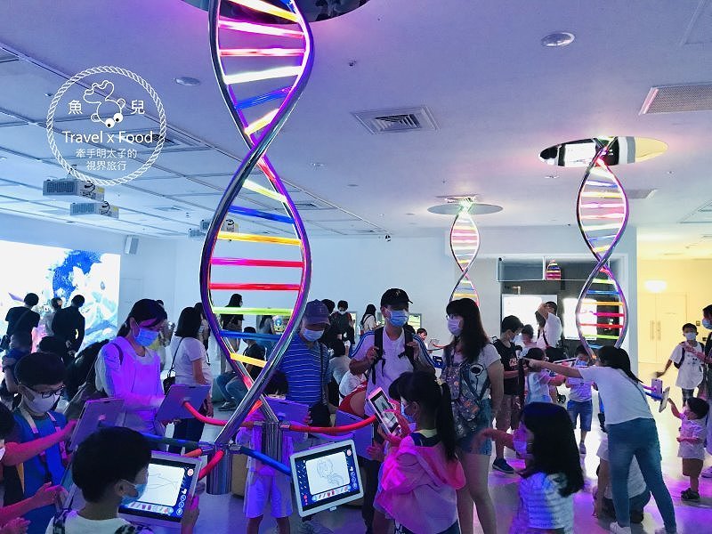 模擬環境溫濕度、氣味與聲音，日本八景島團隊跨海打造，全台首座日系都會型水族館：X PARK 都會型水生公園 @魚兒 x 牽手明太子的「視」界旅行