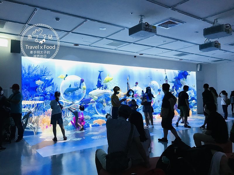 模擬環境溫濕度、氣味與聲音，日本八景島團隊跨海打造，全台首座日系都會型水族館：X PARK 都會型水生公園 @魚兒 x 牽手明太子的「視」界旅行