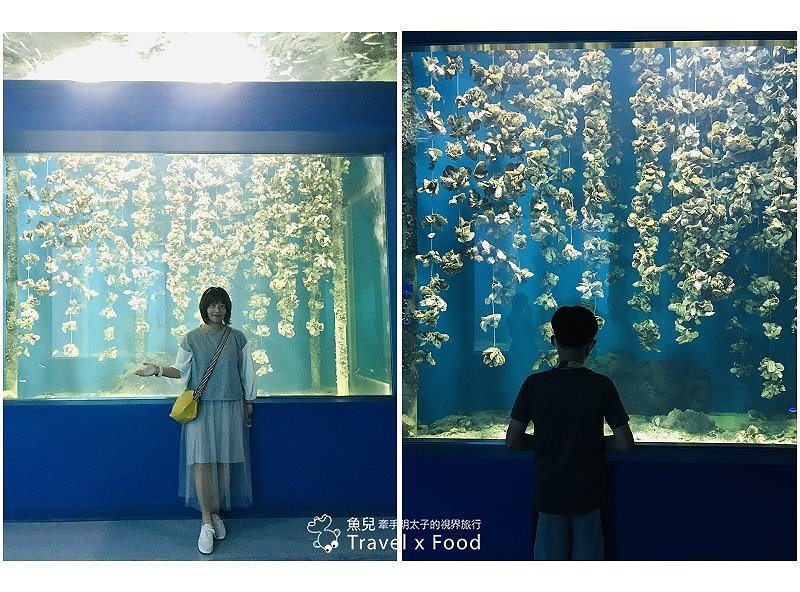 模擬環境溫濕度、氣味與聲音，日本八景島團隊跨海打造，全台首座日系都會型水族館：X PARK 都會型水生公園 @魚兒 x 牽手明太子的「視」界旅行