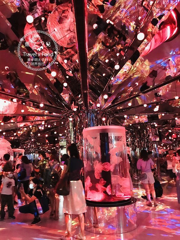 模擬環境溫濕度、氣味與聲音，日本八景島團隊跨海打造，全台首座日系都會型水族館：X PARK 都會型水生公園 @魚兒 x 牽手明太子的「視」界旅行