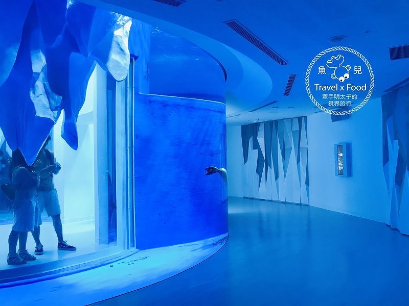 模擬環境溫濕度、氣味與聲音，日本八景島團隊跨海打造，全台首座日系都會型水族館：X PARK 都會型水生公園 @魚兒 x 牽手明太子的「視」界旅行