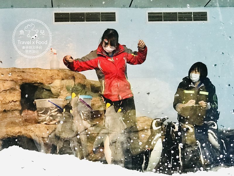 模擬環境溫濕度、氣味與聲音，日本八景島團隊跨海打造，全台首座日系都會型水族館：X PARK 都會型水生公園 @魚兒 x 牽手明太子的「視」界旅行