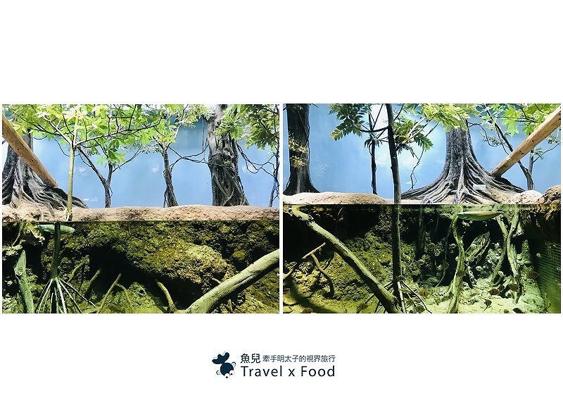 模擬環境溫濕度、氣味與聲音，日本八景島團隊跨海打造，全台首座日系都會型水族館：X PARK 都會型水生公園 @魚兒 x 牽手明太子的「視」界旅行