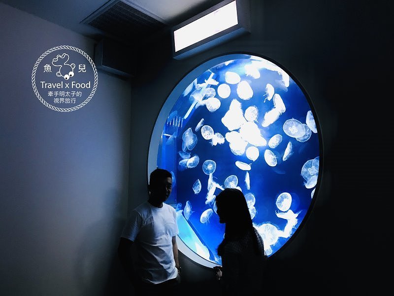 模擬環境溫濕度、氣味與聲音，日本八景島團隊跨海打造，全台首座日系都會型水族館：X PARK 都會型水生公園 @魚兒 x 牽手明太子的「視」界旅行