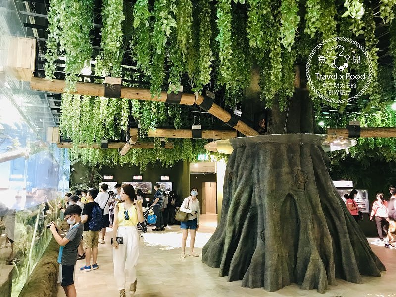 模擬環境溫濕度、氣味與聲音，日本八景島團隊跨海打造，全台首座日系都會型水族館：X PARK 都會型水生公園 @魚兒 x 牽手明太子的「視」界旅行