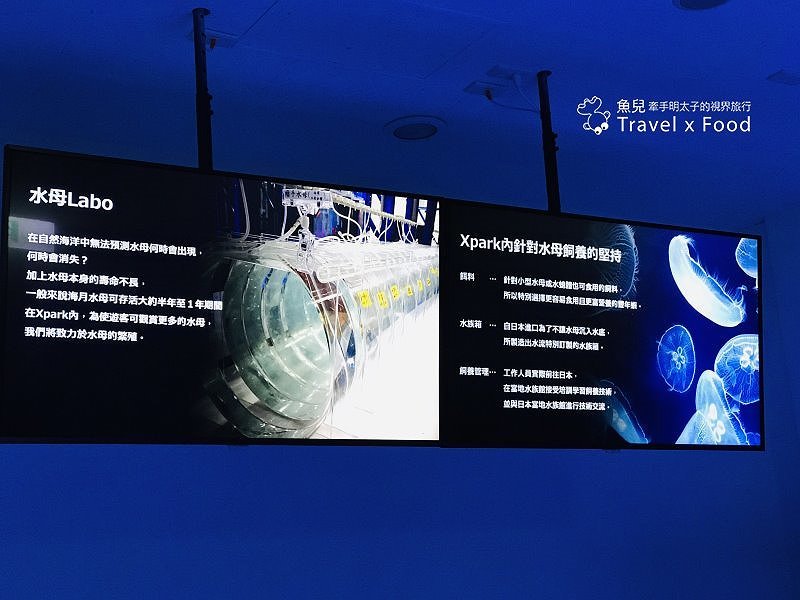 模擬環境溫濕度、氣味與聲音，日本八景島團隊跨海打造，全台首座日系都會型水族館：X PARK 都會型水生公園 @魚兒 x 牽手明太子的「視」界旅行