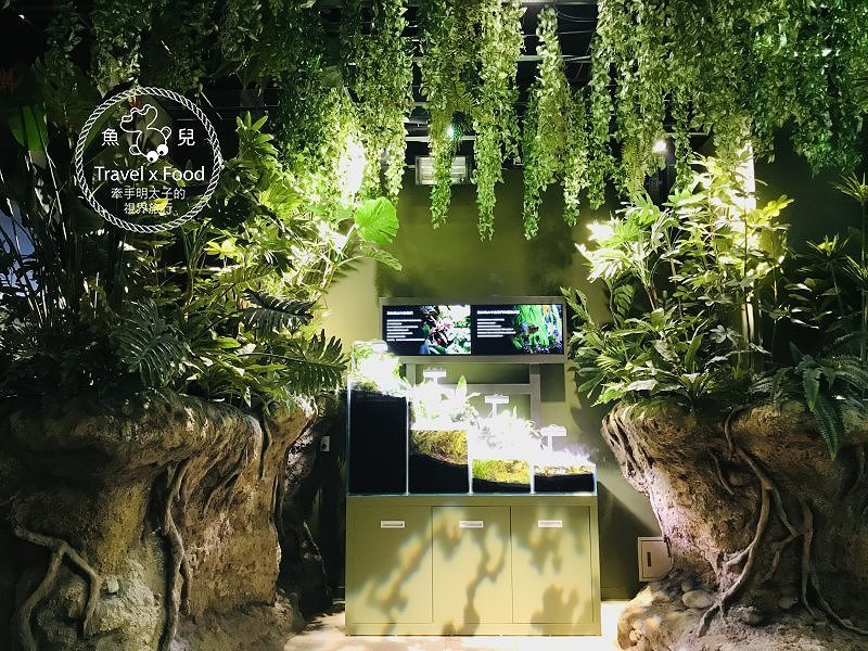 模擬環境溫濕度、氣味與聲音，日本八景島團隊跨海打造，全台首座日系都會型水族館：X PARK 都會型水生公園 @魚兒 x 牽手明太子的「視」界旅行