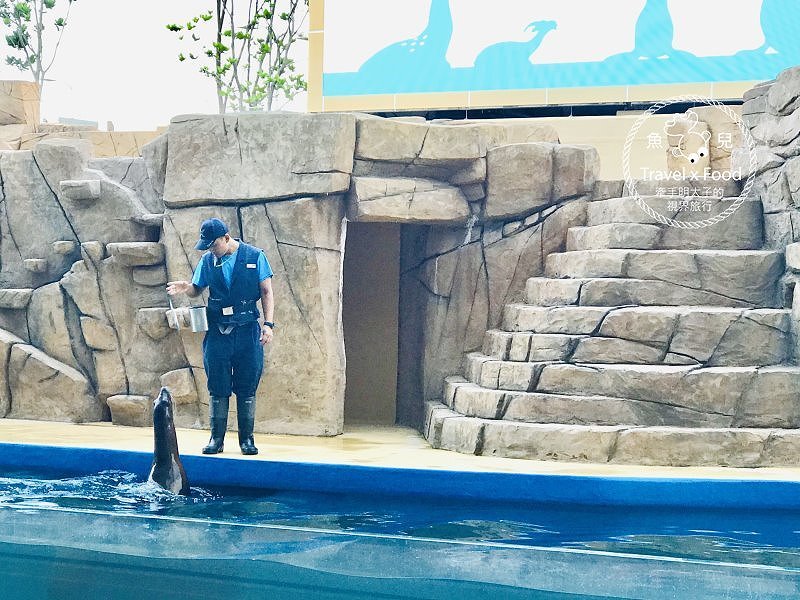 模擬環境溫濕度、氣味與聲音，日本八景島團隊跨海打造，全台首座日系都會型水族館：X PARK 都會型水生公園 @魚兒 x 牽手明太子的「視」界旅行