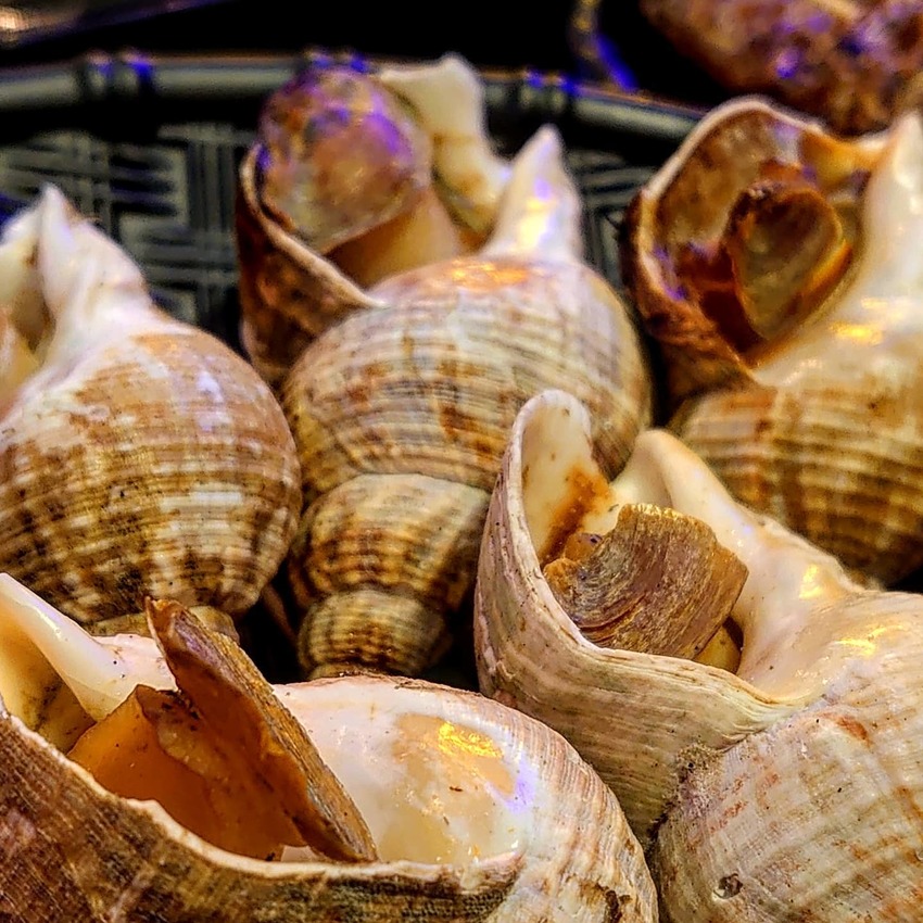 New Taipei, Taiwan High串燒/ 軟硬適中的豬小排，越吃越香的烤鯖魚，新鮮脆爽的翡翠螺，肥美指數爆表的日本廣島生蠔，超適合厭世上班族在下班後，吃個串燒，小酌一杯🍻