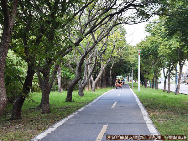 八里騎車趣12-綠蔭.JPG