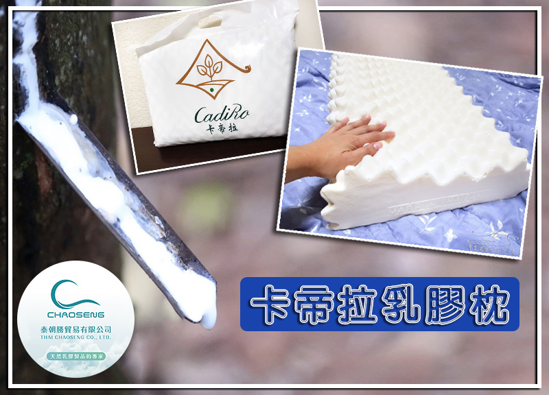 泰國進口乳膠枕 coverphoto.jpg