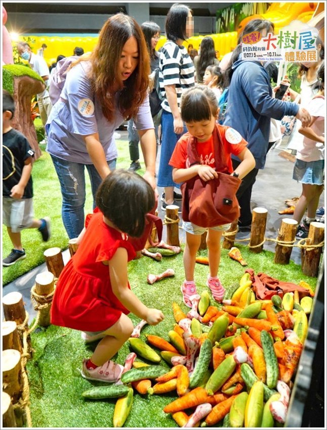 【台北士林】哇賽!科教館有個大樹屋~體驗展．毛毛蟲嘟嘟車、甲蟲坐騎、長頸鹿氣墊設施等超好玩!