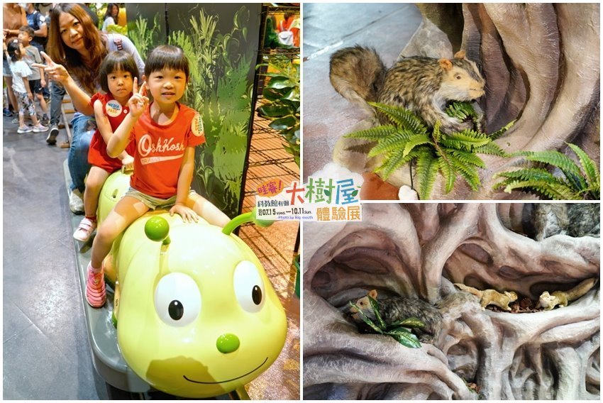 【台北士林】哇賽!科教館有個大樹屋~體驗展．毛毛蟲嘟嘟車、甲蟲坐騎、長頸鹿氣墊設施等超好玩!