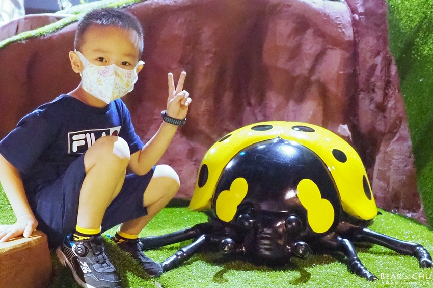 大樹屋體驗展好玩嗎？台北士林科學教育館 展覽日期2020/07/15～10/11