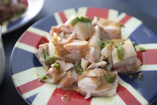 Cutaway X 貓下去涼麵 - 17