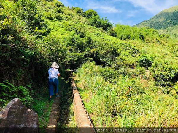 水圳_200919_8.jpg