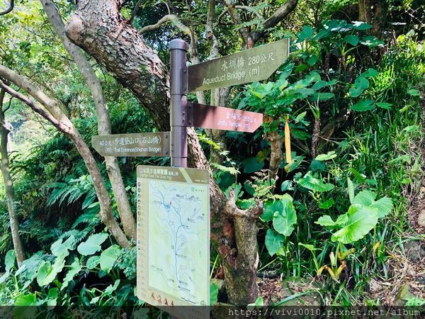水圳_200919_12.jpg