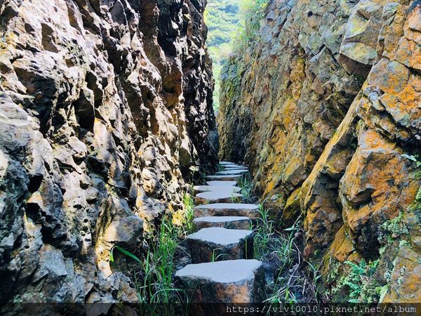 水圳_200919_6.jpg