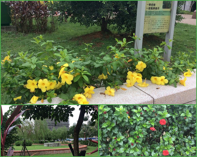 桃園中路重劃區-親子娛樂、休閒的共融景點【向陽公園】