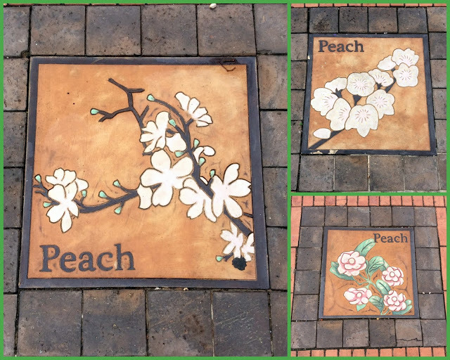 桃園中路重劃區-親子娛樂、休閒的共融景點【向陽公園】