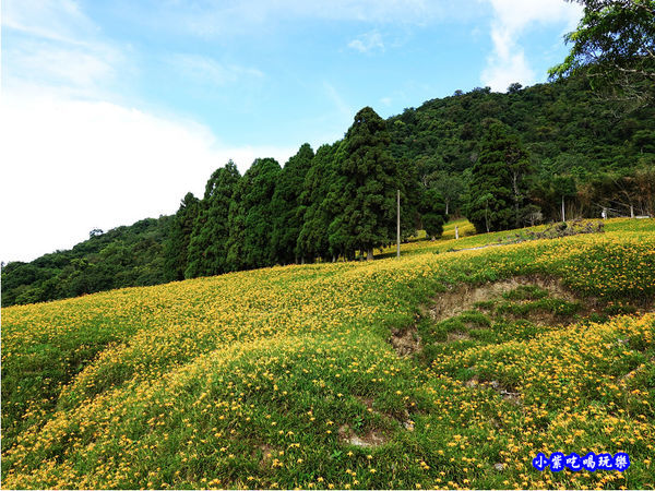 小瑞士農場-赤科山 (25).jpg
