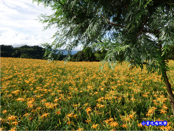 小瑞士農場-赤科山 (14).jpg