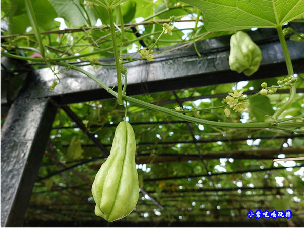 小瑞士農場-赤科山 (16).jpg