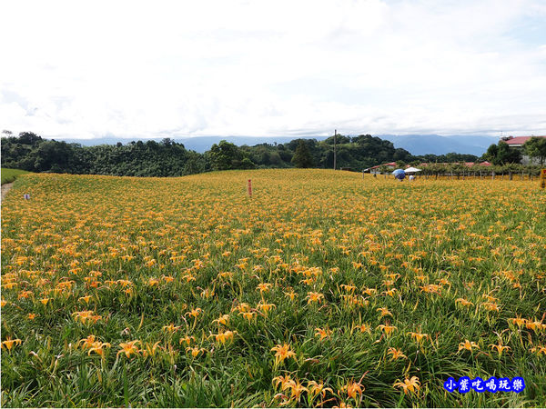 小瑞士農場-赤科山 (26).jpg