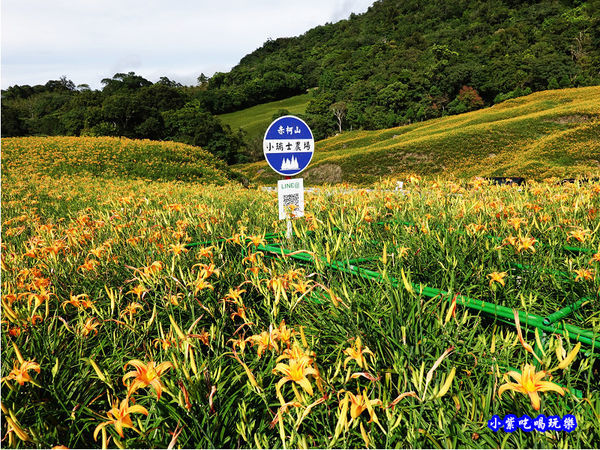 小瑞士農場-赤科山 (11).jpg