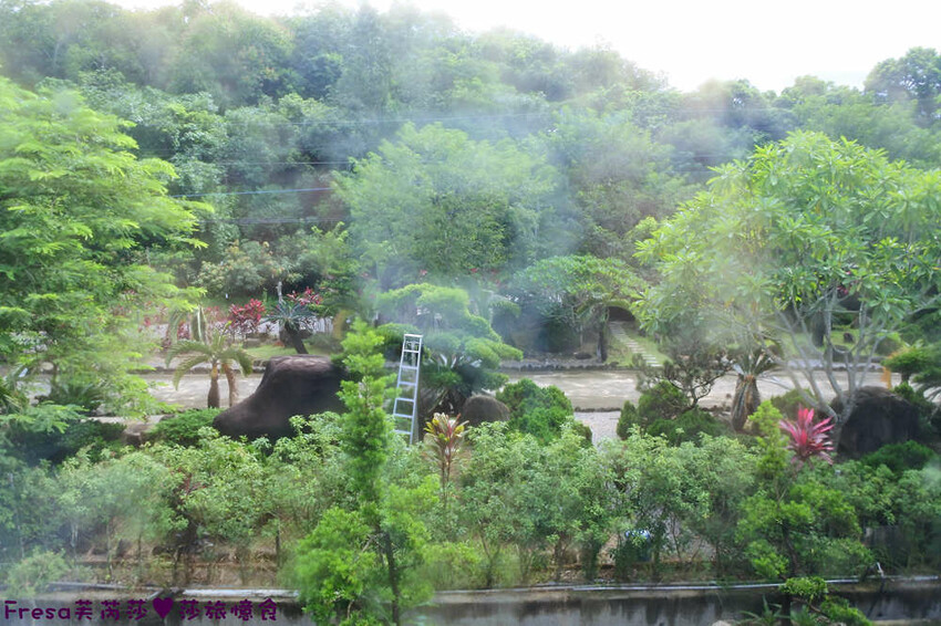 楠西景點│梅嶺梅仔雞賞梅趣「大眾餐廳」龜丹溫泉泡湯「天喜悅」梅嶺步道甜點咖啡「文山咖啡」窯烤披薩無菜