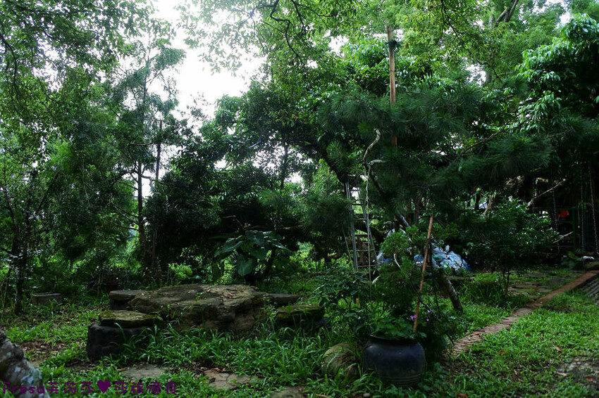 楠西景點│梅嶺梅仔雞賞梅趣「大眾餐廳」龜丹溫泉泡湯「天喜悅」梅嶺步道甜點咖啡「文山咖啡」窯烤披薩無菜