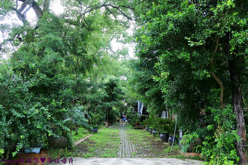 楠西景點│梅嶺梅仔雞賞梅趣「大眾餐廳」龜丹溫泉泡湯「天喜悅」梅嶺步道甜點咖啡「文山咖啡」窯烤披薩無菜