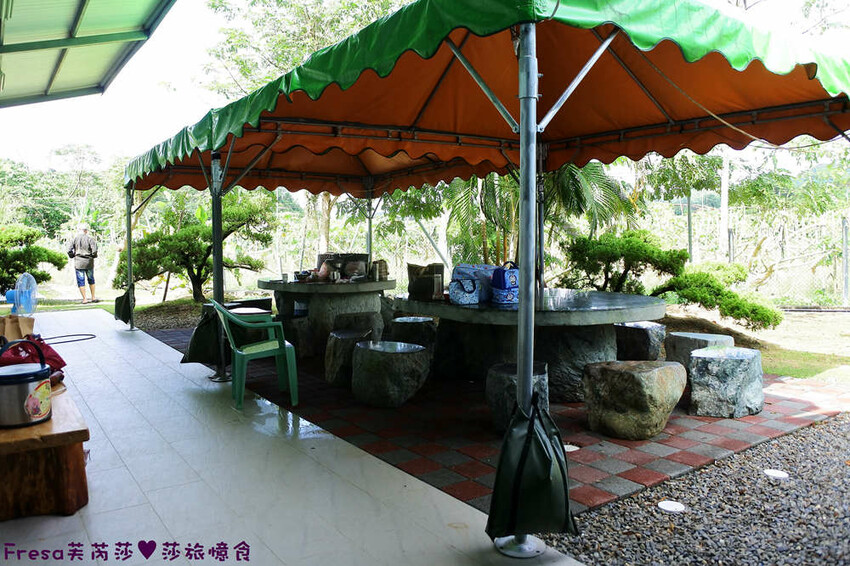 楠西景點│梅嶺梅仔雞賞梅趣「大眾餐廳」龜丹溫泉泡湯「天喜悅」梅嶺步道甜點咖啡「文山咖啡」窯烤披薩無菜