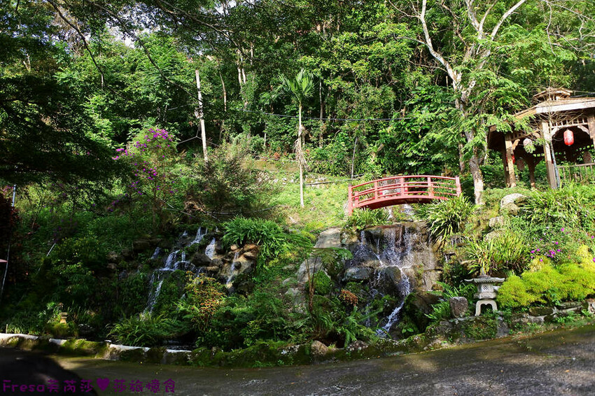 楠西景點│梅嶺梅仔雞賞梅趣「大眾餐廳」龜丹溫泉泡湯「天喜悅」梅嶺步道甜點咖啡「文山咖啡」窯烤披薩無菜