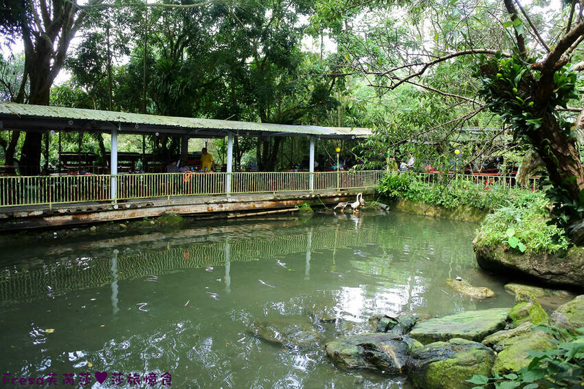 楠西景點│梅嶺梅仔雞賞梅趣「大眾餐廳」龜丹溫泉泡湯「天喜悅」梅嶺步道甜點咖啡「文山咖啡」窯烤披薩無菜