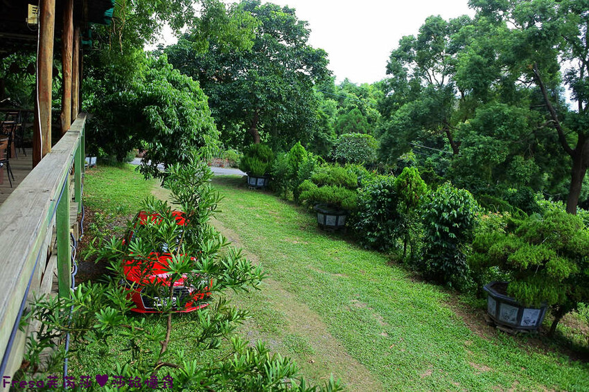 楠西景點│梅嶺梅仔雞賞梅趣「大眾餐廳」龜丹溫泉泡湯「天喜悅」梅嶺步道甜點咖啡「文山咖啡」窯烤披薩無菜