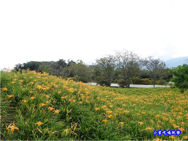 赤科山-黎明農園 (34).jpg