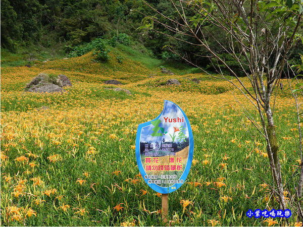 赤科山-黎明農園 (11).jpg