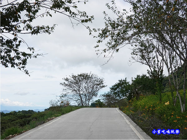 赤科山-黎明農園 (15).jpg