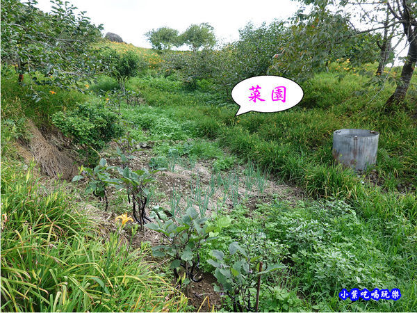 赤科山-黎明農園 (35).jpg