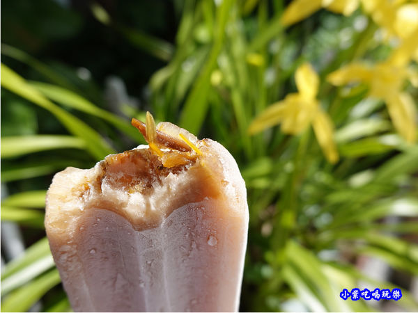 金針冰棒-黎明農園 (2).jpg