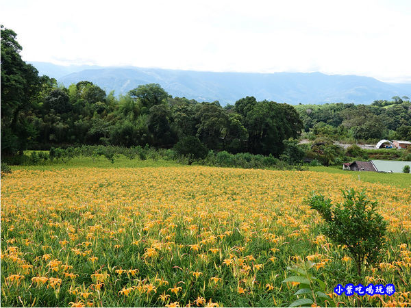 赤科山-黎明農園 (17).jpg
