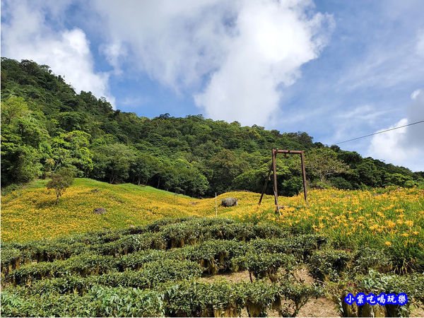 赤科山-黎明農園 (5).jpg